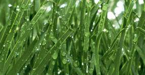 Campos de futbol construcci&oacute;n